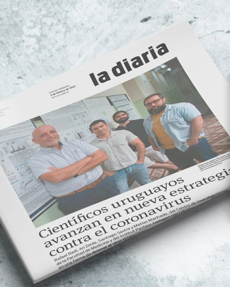 la diaria